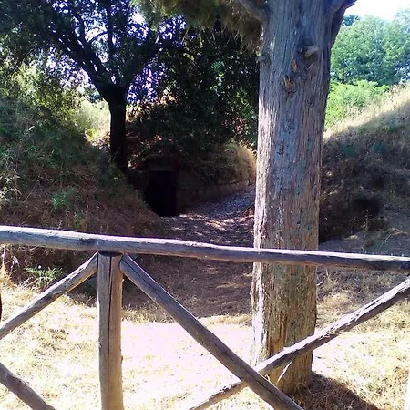 Lägenhet Sinatra's Gate Cerveteri